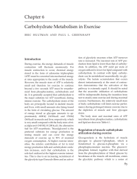 Carbohydrate Metabolism in Exercise