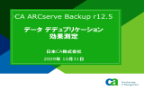 CA ARCserve Backup r12.5