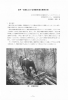岩手・宮城における馬搬作業の事例分析（PDF：355KB）
