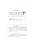こちら - 構造化評価システム sSOFAS
