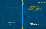 Salesforce Touch Platform
