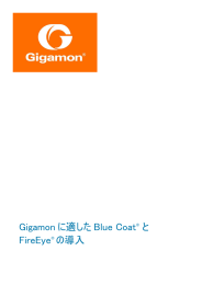 Gigamon に適した Blue Coat FireEye® の導入