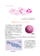28 子宮頸がんとヒトパピローマウイルス （2011.1.4）pdf