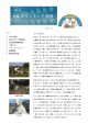 第4号(2013.8.1)[PDFファイル／218KB]