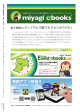 miyagi books