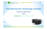 The Information Technology Solution
