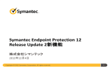 Symantec Endpoint Protection 12 RU2