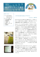 第6号(2013.9.13)[PDFファイル／387KB]