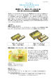 資生堂パーラー 夏のチーズケーキはレモン味 2015 年 4 月 25 日（土