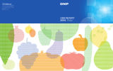 DNPグループ CSR報告書2015