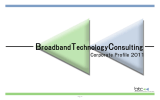 BroadbandTechnologyConsulting