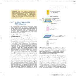 16 53 Using Nucleic Acid Hybridization