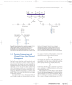 18 55 Protein Engineering with Cloned Genes SiteDirected Mutagenesis