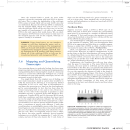 19 56 Mapping and Quantifying Transcripts