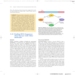 23 510 Finding RNA Sequences That Interact with Other Molecules