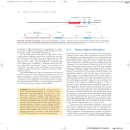 27 63 Transcription Initiation