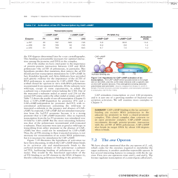 31 72 The ara Operon