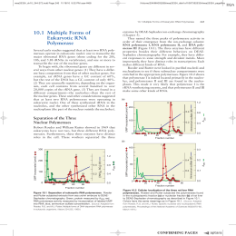 39 101 Multiple Forms of Eukaryotic RNA Polymerase