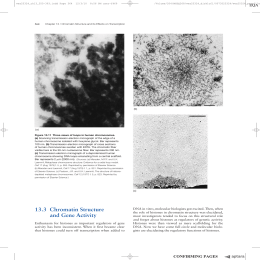 52 132 Chromatin Structure and Gene Activity