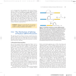 54 142 The Mechanism of Splicing of Nuclear mRNA Precursors