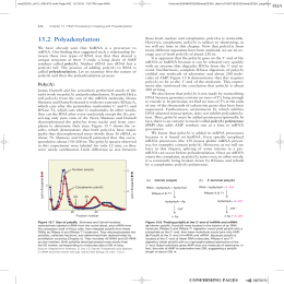 57 152 Polyadenylation