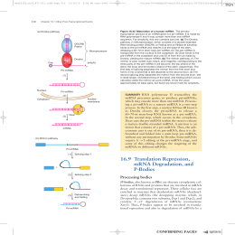 67 169 Translation Repression mRNA Degradation and PBodies