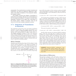 68 171 Initiation of Translation in Bacteria