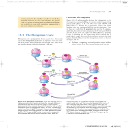 73 183 The Elongation Cycle