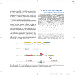 84 221 The RecBCD Pathway for Homologous Recombination