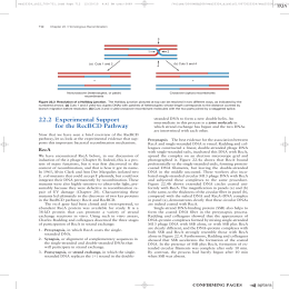 85 222 Experimental Support for the RecBCD Pathway