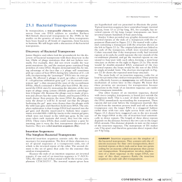 88 231 Bacterial Transposons