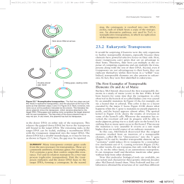 89 232 Eukaryotic Transposons