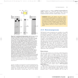 91 234 Retrotransposons