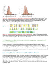 Examination of ThreeDimensional Structure Enhances Our Understanding of Evolutionary Relationships