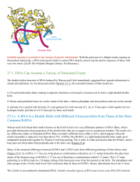 DNA Can Assume a Variety of Structural Forms