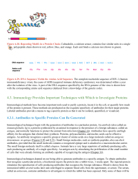 Immunology Provides Important Techniques with Which to Investigate Proteins