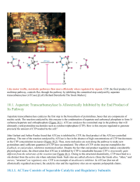 Aspartate Transcarbamoylase Is Allosterically Inhibited by the End Product of Its Pathway