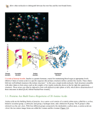 Proteins Are Built from a Repertoire of 20 Amino Acids