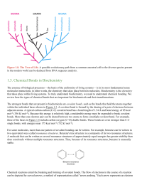 Chemical Bonds in Biochemistry