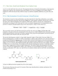 The Citric Acid Cycle Oxidizes TwoCarbon Units