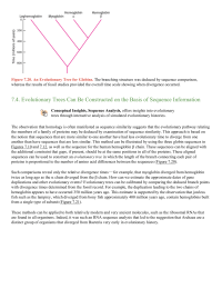 Evolutionary Trees Can Be Constructed on the Basis of Sequence Information