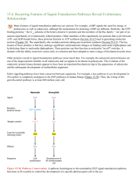 Recurring Features of SignalTransduction Pathways Reveal Evolutionary Relationships