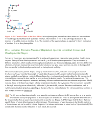 Isozymes Provide a Means of Regulation Specific to Distinct Tissues and Developmental Stages