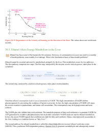 Ethanol Alters Energy Metabolism in the Liver