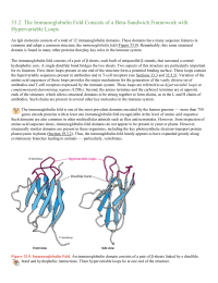 The Immunoglobulin Fold Consists of a BetaSandwich Framework with Hypervariable Loops