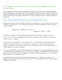 Elongation and Unsaturation of Fatty Acids Are Accomplished by Accessory Enzyme Systems