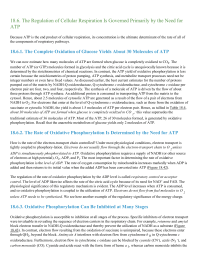 The Regulation of Cellular Respiration Is Governed Primarily by the Need for ATP