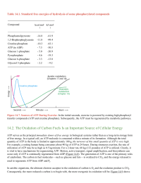 The Oxidation of Carbon Fuels Is an Important Source of Cellular Energy