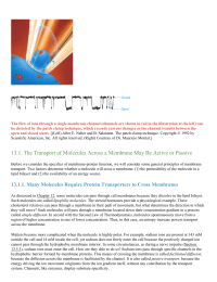 The Transport of Molecules Across a Membrane May Be Active or Passive