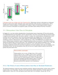 Photosynthesis Takes Place in Chloroplasts